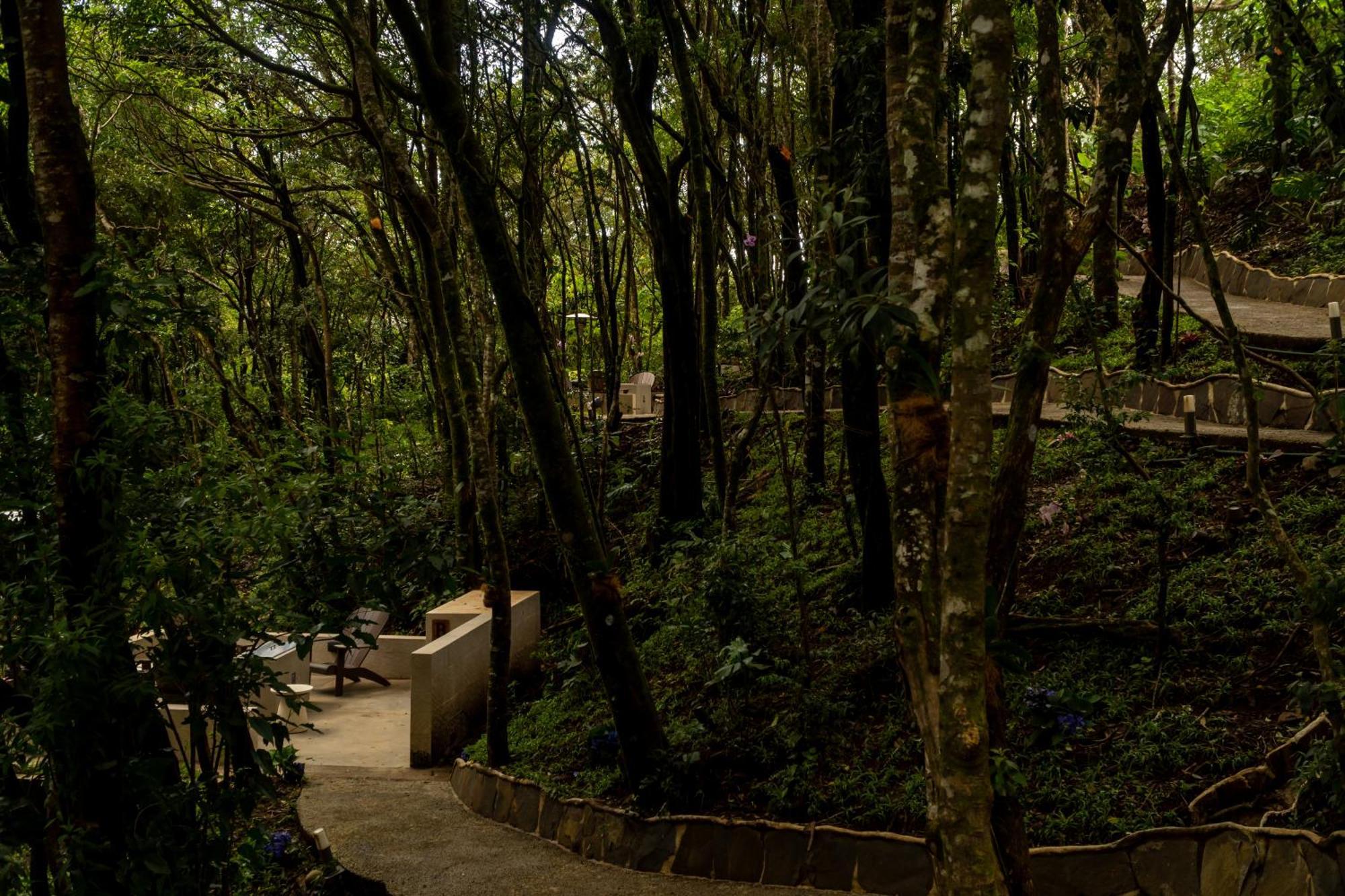 Koora Monteverde A Cloud Forest Hotel By Sandglass Экстерьер фото